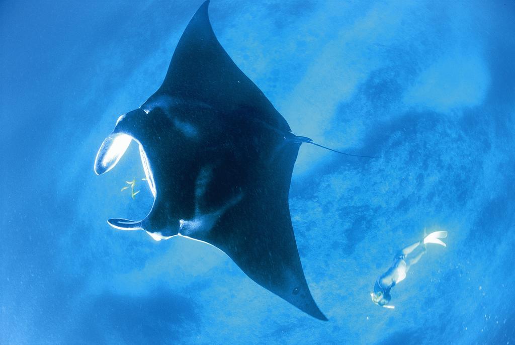 Готель Sal Salis Ningaloo Reef Ексмут Екстер'єр фото