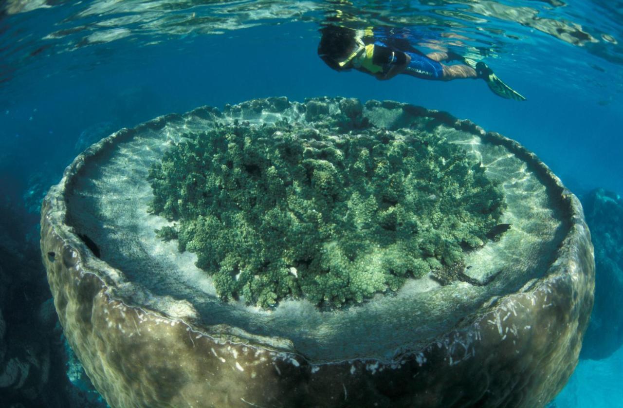 Готель Sal Salis Ningaloo Reef Ексмут Екстер'єр фото